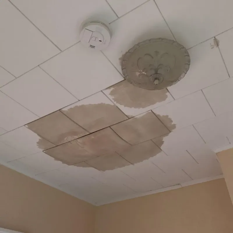 Ceiling Water Damage Repair in Beaumont, TX