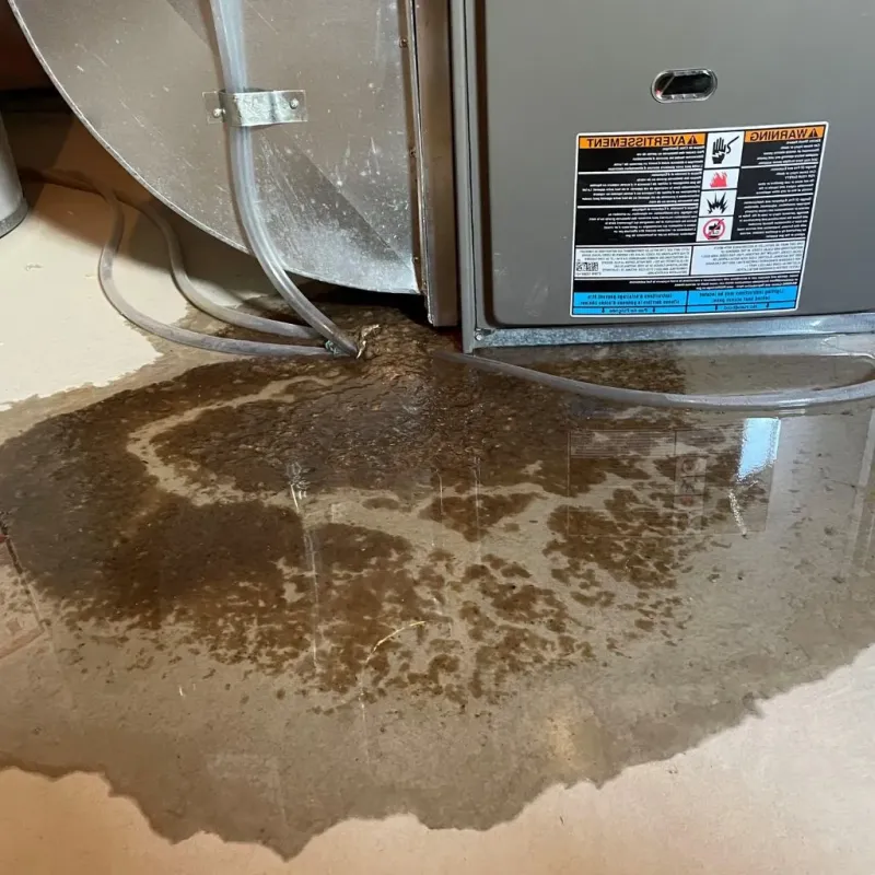 Pipe Burst and Leak Restoration in Beaumont, TX